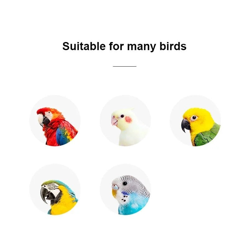 Big Up Pet Shop - Funny Parrot Birds Toys Mini Basketball Hoop Basket Feste Shoot Toys for Parrot Intelligence Puzzle Game Chew Toys Pet Supplies