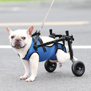 Adjustable Dog Wheelchair by Big Up Pet Shop - Lightweight, Durable Mobility Cart for Rehabilitation & Enhanced Pet Freedom