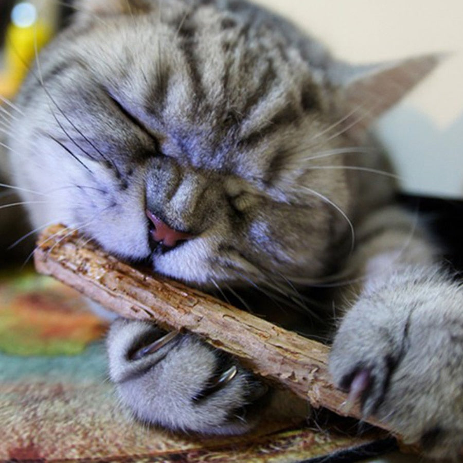 All-Natural Catnip Pet Cat Molar Toothpaste Stick
