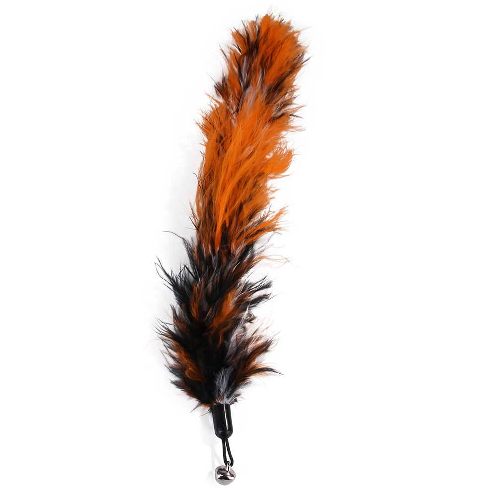 Cat Stick Feathers Toy